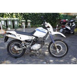 Silencieux ARROW Paris Dakar Adapt.Yamaha XT 600 E / K 1990-1994