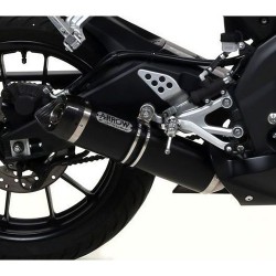 Ligne Complète ARROW Street Thunder Yamaha YZF 125 R 2014-2016 (coupelle carbone)