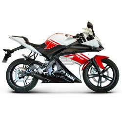 Ligne Complète TERMIGNONI Strada Rond Yamaha YZF 125 R 2008-2013