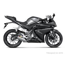 Ligne Complète AKRAPOVIC Racing Line Yamaha MT 125 2014-... Et YZF 125 R 2014-2016 Coupelle Carbone