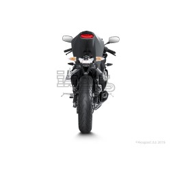 Ligne Complète AKRAPOVIC Racing Line Yamaha MT 125 2014-... Et YZF 125 R 2014-2016 Coupelle Carbone