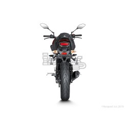 Ligne Complète AKRAPOVIC Racing Line Yamaha MT 125 2014-... Et YZF 125 R 2014-2016 Coupelle Carbone