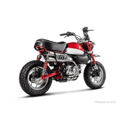 Silencieux AKRAPOVIC Slip-On Honda MONKEY 125 2019-...