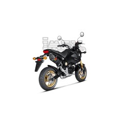 Ligne Complète AKRAPOVIC Slip-On Honda MSX 125 2013-2015 Coupelle Carbone