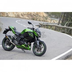 Silencieux AKRAPOVIC Slip-On Racing Kawasaki NINJA 300 R 2013-2016 et Z 300 2015-... Coupelle Carbone