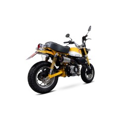 Ligne Complète Scorpion Red Power Honda Monkey 2019-...