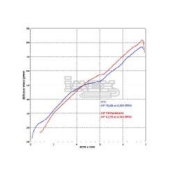 Ligne Complète TERMIGNONI Racing Line Strada Harley XR 1200 2008-2011