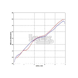 Silencieux TERMIGNONI Strada Harley XR 1200 2008-2011