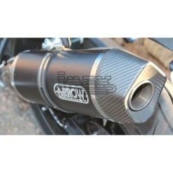 Ligne Complète ARROW Maxi Race-Tech (coupelle carbone) BMW F 800 R 2009-2019