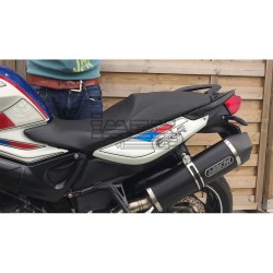 Silencieux ARROW MAXI Race-Tech (coupelle carbone) BMW F 800 R 2009-2019