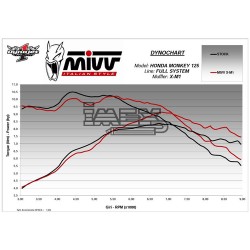 Ligne Complète MIVV X-M1 HONDA MONKEY 125 2019-...